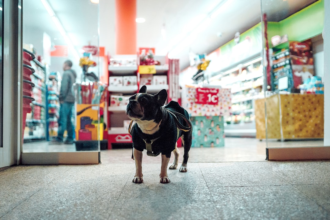 Equipe Mytailmate com animais de estimação
